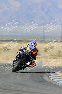 media/Feb-03-2024-SoCal Trackdays (Sat) [[767c60a41c]]/2-Turn 11 (10am)/